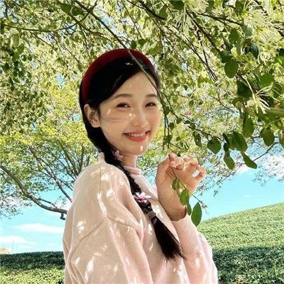钢胆七雄